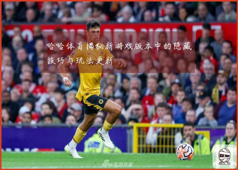 哈哈体育揭秘新游戏版本中的隐藏技巧与玩法更新